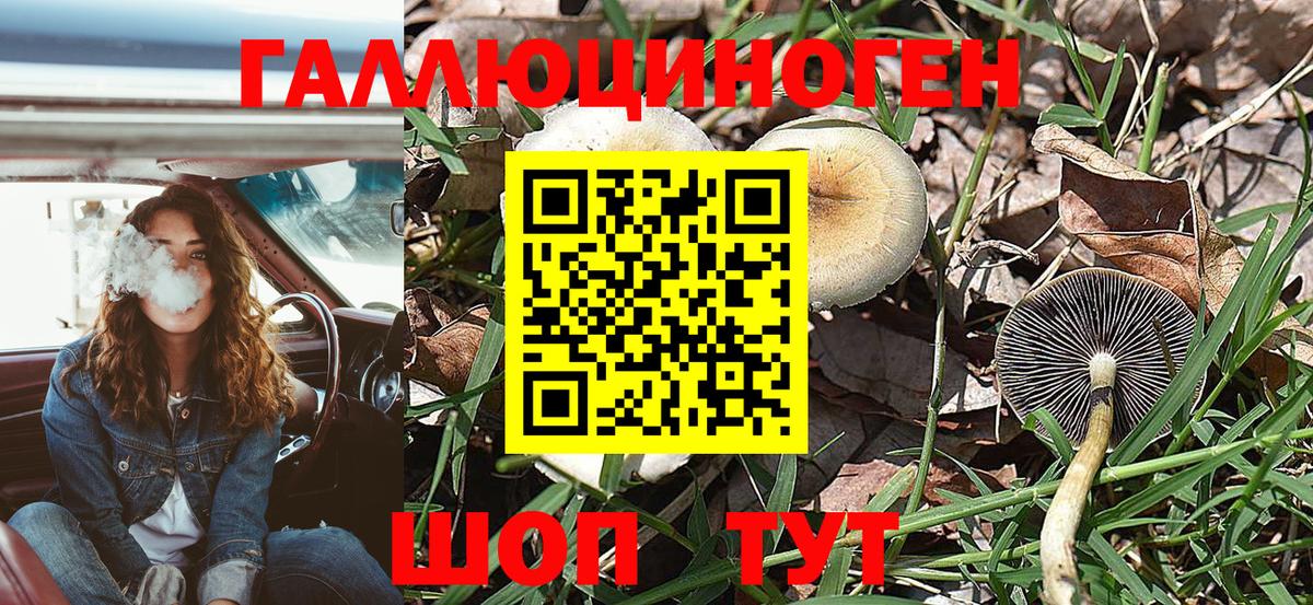 Псилоцибиновые грибы Psilocybine cubensis Нягань