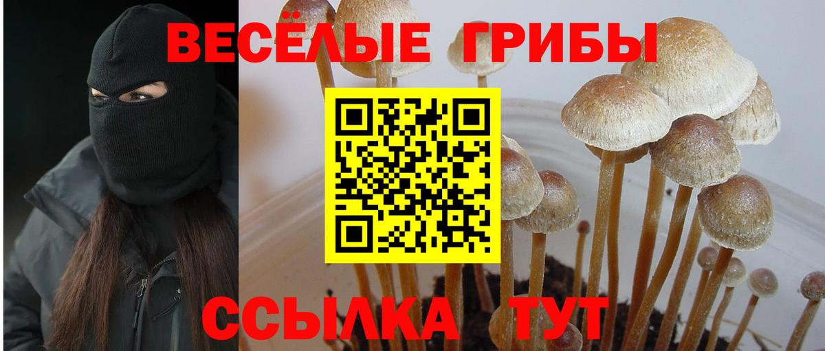 Нягань  Галлюциногенные грибы ЛСД  Вход с VPN 