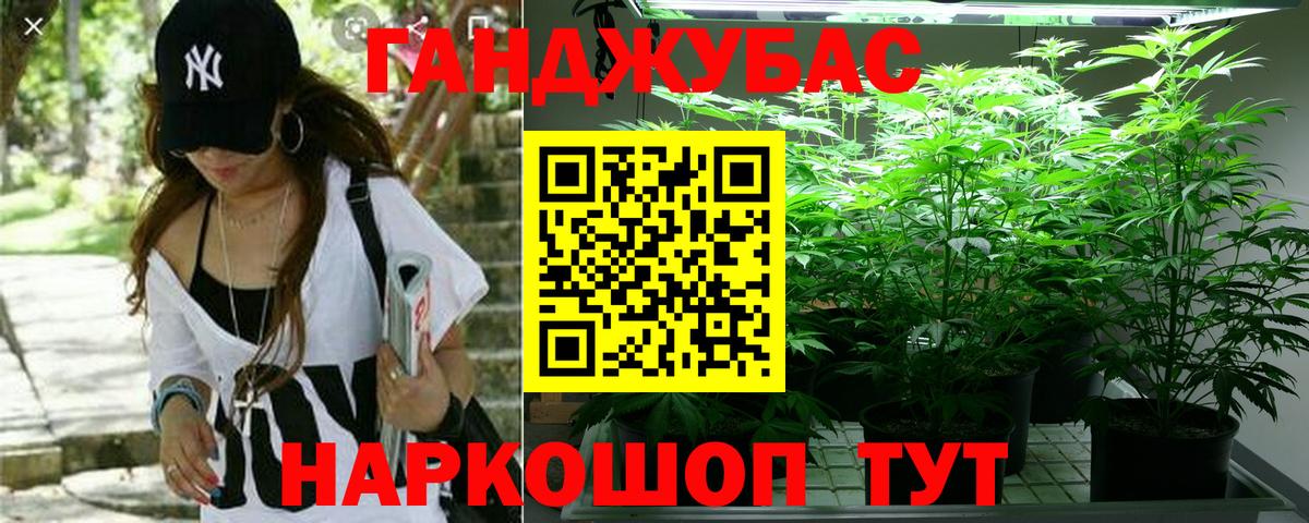 Каннабис конопля Нягань